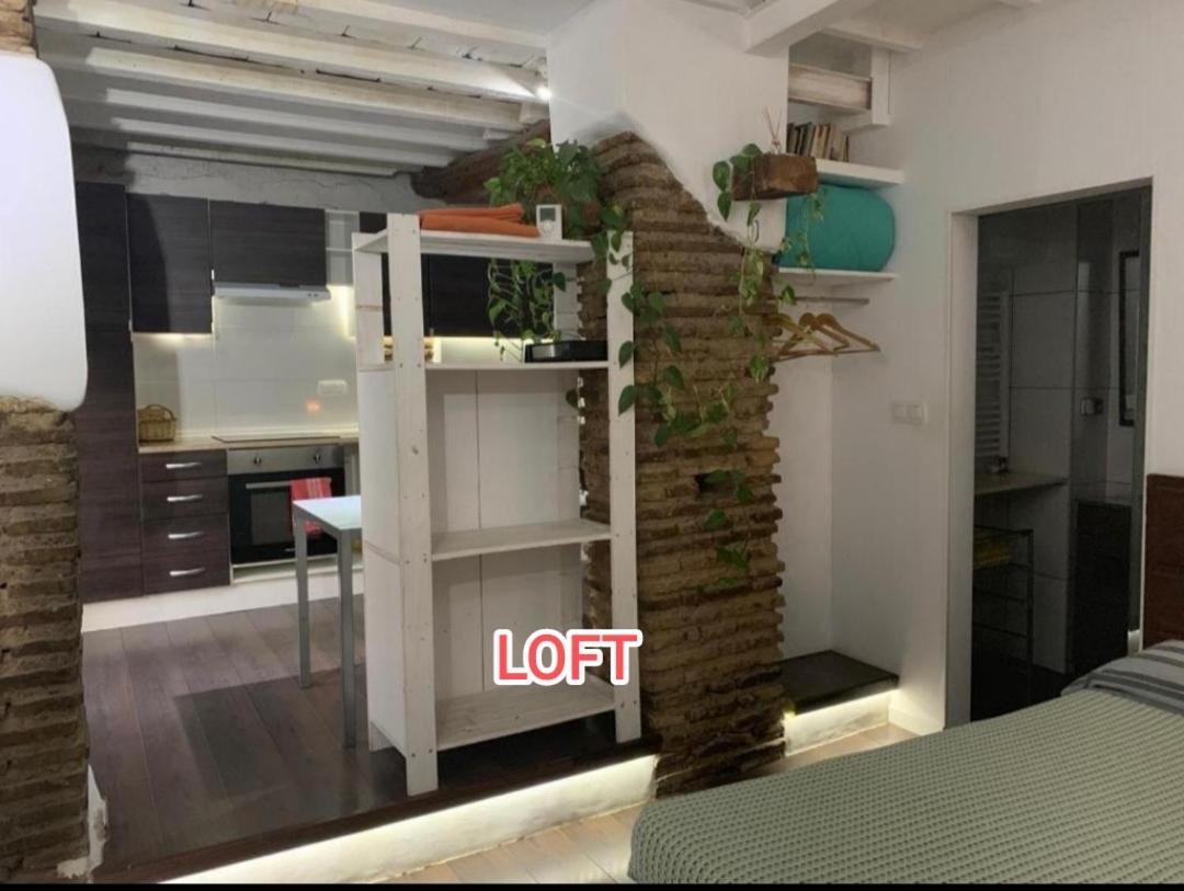 Loft Increible En El Centro Apartment Гранада Екстериор снимка